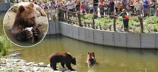 Wildpark MV in Güstrow