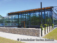 Botanischer Garten Rostock - Loki-Schmidt-Gewächshäuser