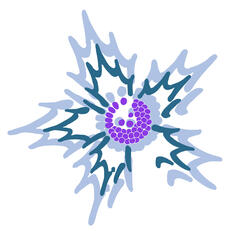 Botanischer Garten Rostock Logo