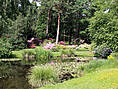 Botanischer Garten Rostock - Teich und Arboretum