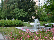Brunnen "Leben im Wasser"
