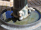 Rostocker Innenstadt: Pferdebrunnen auf dem Heiligengeisthof