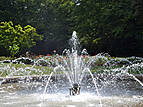 Brunnen im Rosengarten