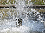 Brunnen im Rosengarten