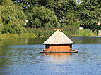 Entenhaus auf dem Schwanenteich in Rostock Reutershagen