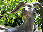 Rostocker Innenstadt: Brunnen "Afrikanische Bergziege" (Ziegenbrunnen), Am Ziegenmarkt vor der Marienkirche