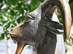 Rostocker Innenstadt: Brunnen "Afrikanische Bergziege" (Ziegenbrunnen), Am Ziegenmarkt vor der Marienkirche