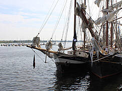 Hanse Sail 2009