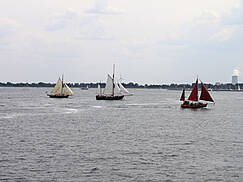 Hanse Sail 2009