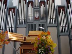 Nikolaikirche Rostock - Orgel