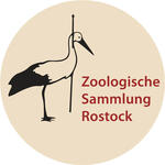 Logo - Zoologische Sammlung der Universität Rostock