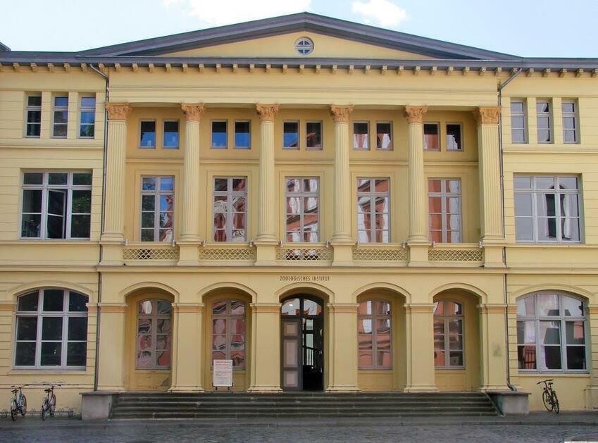 Museen: Zoologische Sammlung der Universität Rostock
