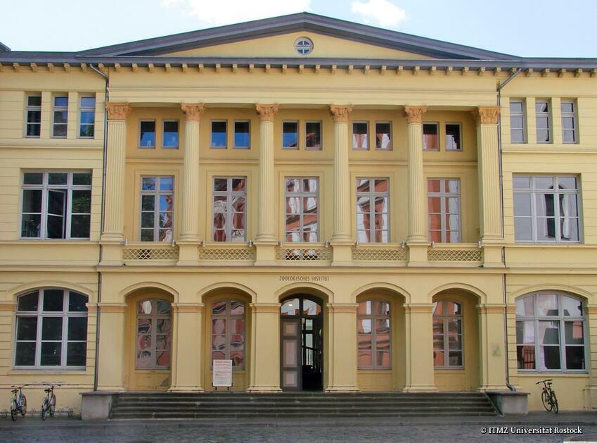 Museen: Zoologische Sammlung der Universität Rostock