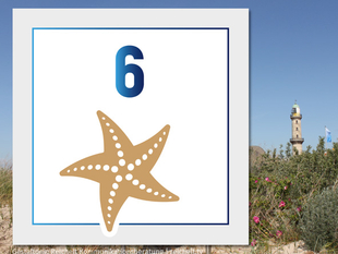   Rostock-Warnemünde  Strandzugang 6