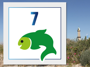   Rostock-Warnemünde  Strandzugang 7