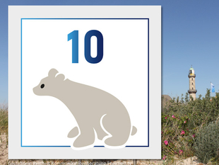   Rostock-Warnemünde  Strandzugang 10