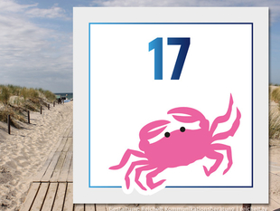   Rostock-Warnemünde  Strandzugang 17