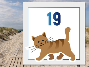   Rostock-Warnemünde  Strandzugang 19