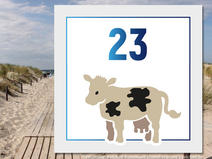   Rostock-Warnemünde  Strandzugang 23