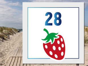    Rostock Diedrichshagen Strandzugang 28