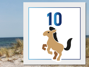   Rostock Hohe-Düne Strandzugang 10