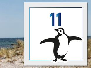   Rostock Hohe-Düne Strandzugang 11