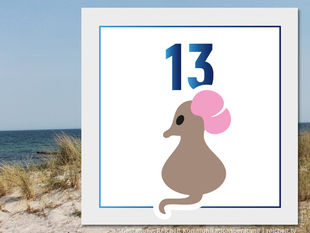   Rostock Hohe-Düne Strandzugang 13