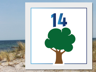   Rostock Hohe-Düne Strandzugang 14