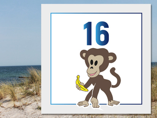   Rostock Hohe-Düne Strandzugang 16