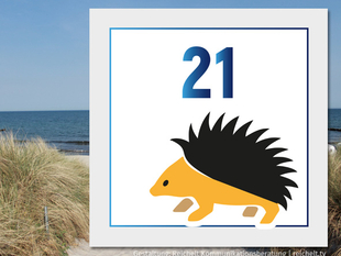   Rostock Markgrafenheide Strandzugang 21