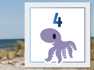   Rostock Hohe-Düne Strandzugang 4