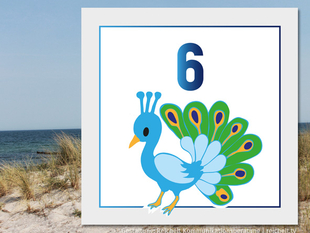   Rostock Hohe-Düne Strandzugang 6