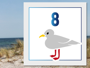   Rostock Hohe-Düne Strandzugang 8