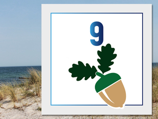   Rostock Hohe-Düne Strandzugang 9