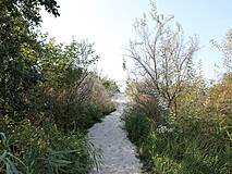 Strandzugang 33 Rostock-Markgrafenheide