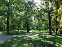 Kurpark in Rostock-Warnemünde