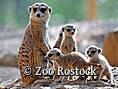 Zoo Rostock