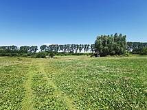 Hundewald Rostock-Jürgeshof bei Rövershagen - Hundewiese im Innenkreis