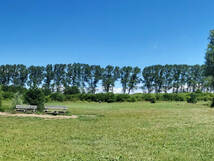 Hundewald Rostock-Jürgeshof bei Rövershagen - 180 Panorama vom Innenbereich