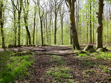 Steinkreis »Steintanz Bellin«