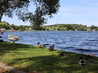 Seepromenade Krakow am See 