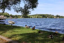 Seepromenade Krakow am See 