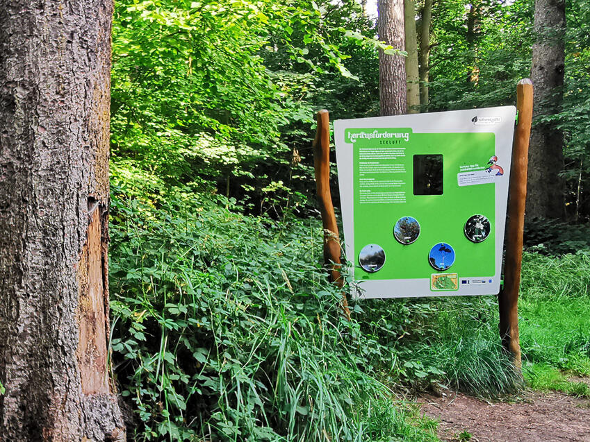 Lehrpfade: Naturlehrpfad Stadtwald Kühlungsborn