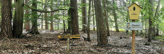 Pilzlehrpfad Vierburgwald - Wegweiser im Naturschutzgebiet