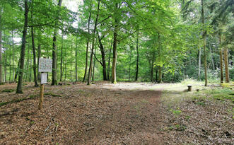 Pilzlehrpfad Vierburgwald - Speisepilze, Giftpilze