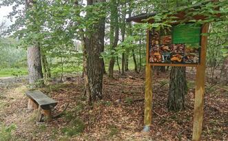 Pilzlehrpfad Vierburgwald