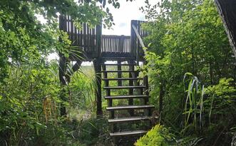 Pilzlehrpfad Vierburgwald - Beobachtungsplattform mit Blick auf den Peetscher See
