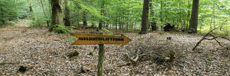 Pilzlehrpfad Vierburgwald - Wegweiser