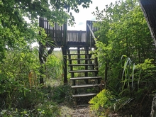 Aussichtsplattform »Großer Peetscher See«