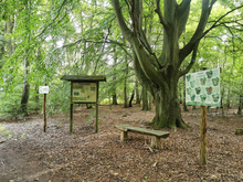 Pilzlehrpfad Vierburg am Peetscher See